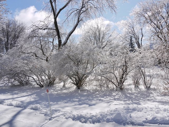 8bd9eab19a296d6af9940e64fcf5e791--ice-storm-tornados.jpg