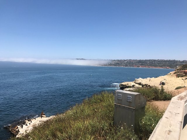 lajolla0.JPG