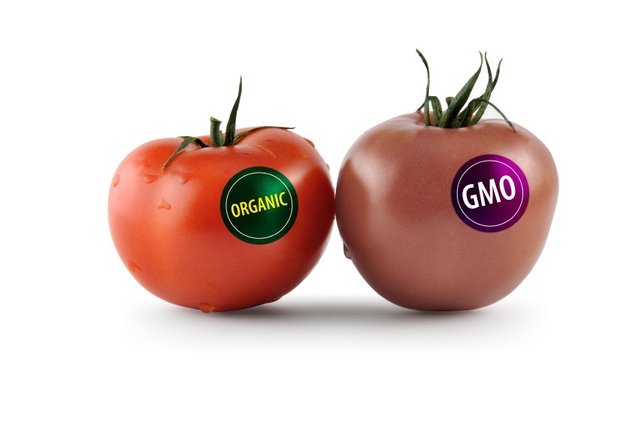 Organic-GMO.jpg