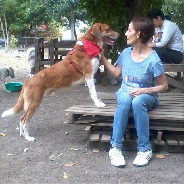 beto en el parque.jpg