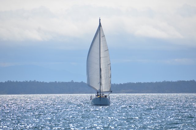 sail.JPG