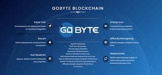 gobyte3.jpg