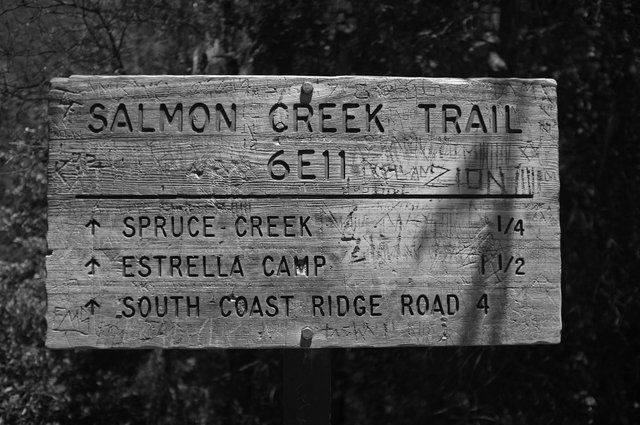 salmon-creek-trail-big-sur-ca_20264785912_o.jpg