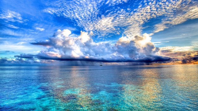 4408D556-1DC3-4D1C-9530-512F217642AA.jpeg
