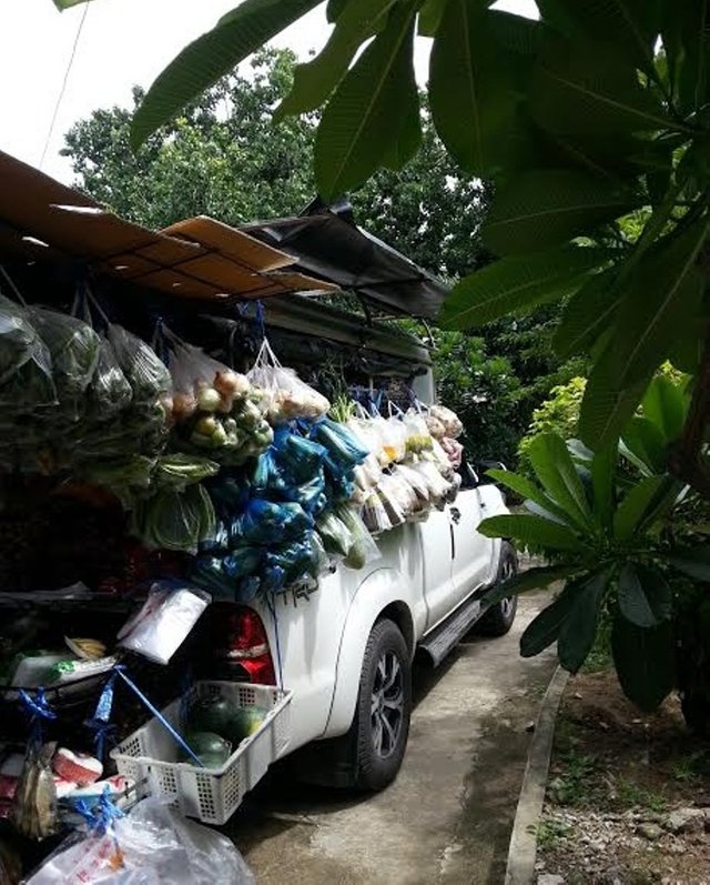 Mobile fruit and vegetable shop2.jpg