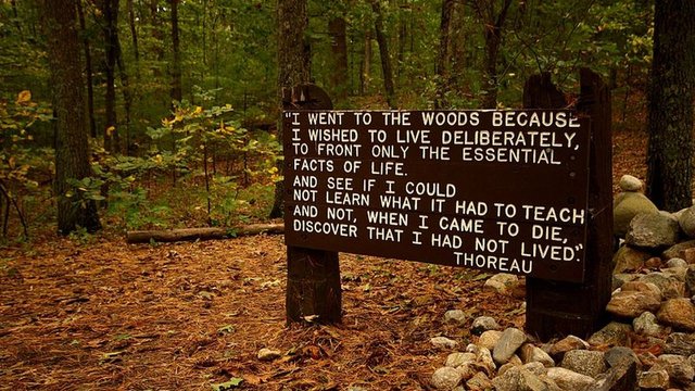 800px-thoreaus_quote_near_his_cabin_site__walden_pond.0.jpg