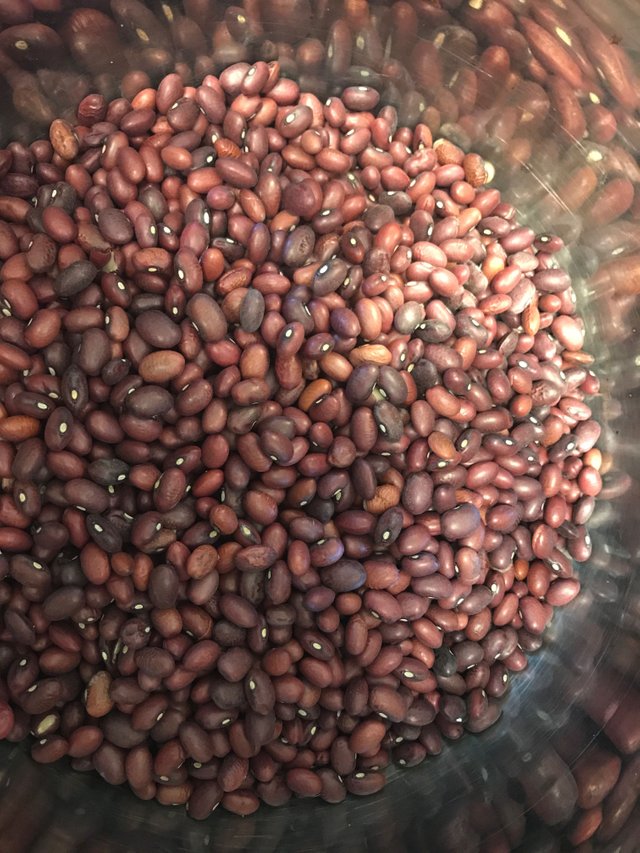 Instant pot best sale small red beans