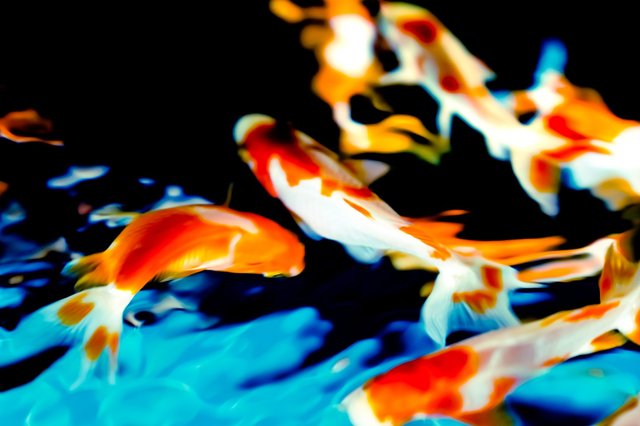 DSCF5059_TP_V.jpg