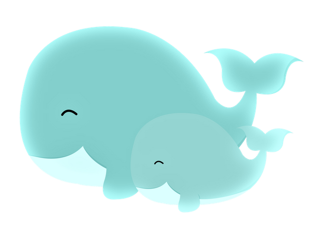 baby-whale-png-baby-whale-clip-art-3156.png
