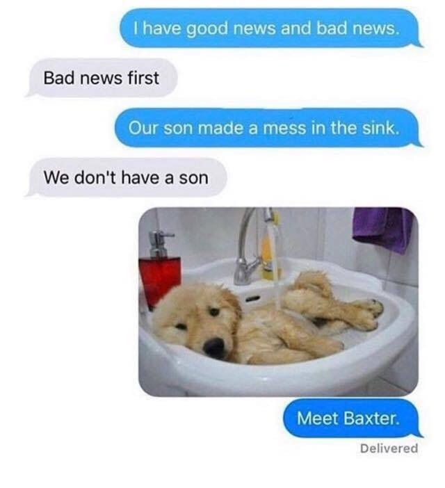 Meet-Baxter.jpg