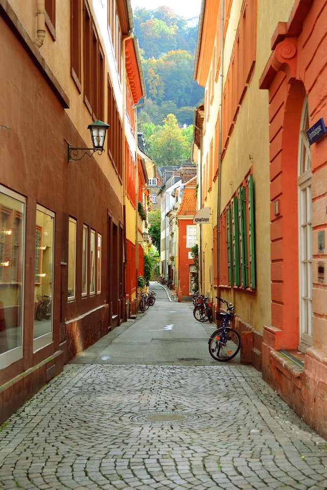 heidelberg (2).jpg