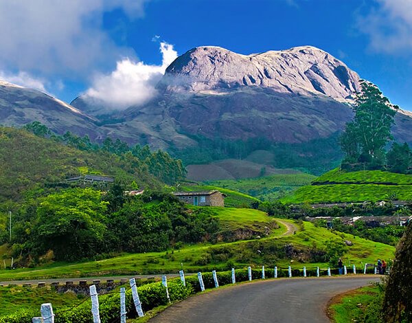 best-time-to-visit-munnar.jpg