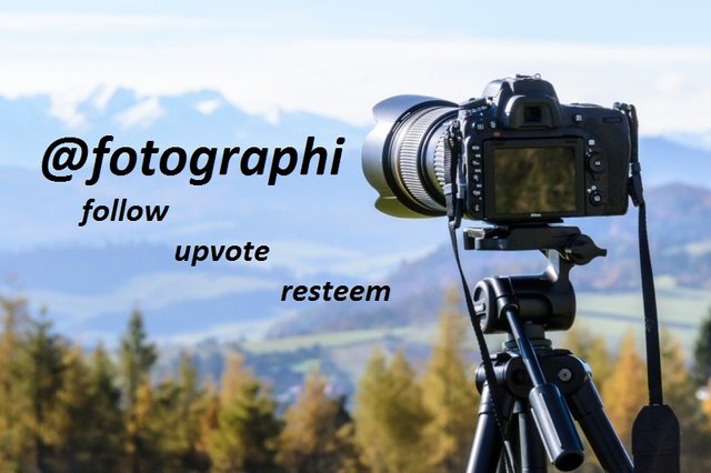 @fotographi.jpeg