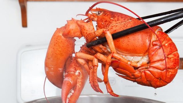 lobster.jpg