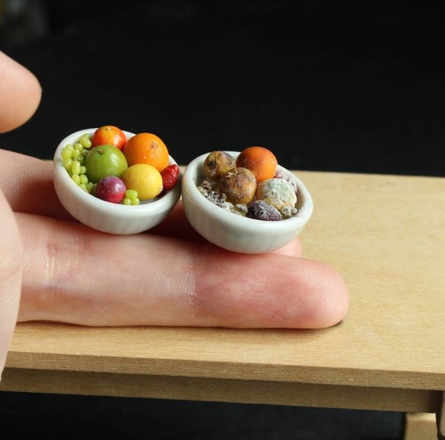 1469360871-meticulous-miniature-handcrafted-meals8-900x891.jpg