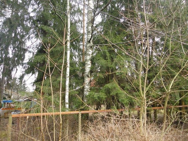 DSC09455.JPG