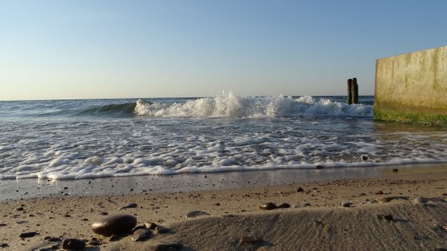 DSC01726.JPG