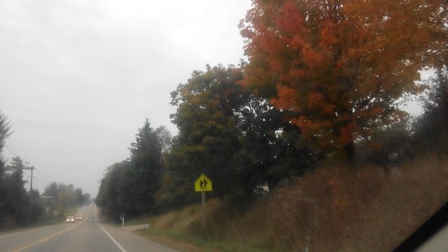 IMG_20171014_150225.jpg