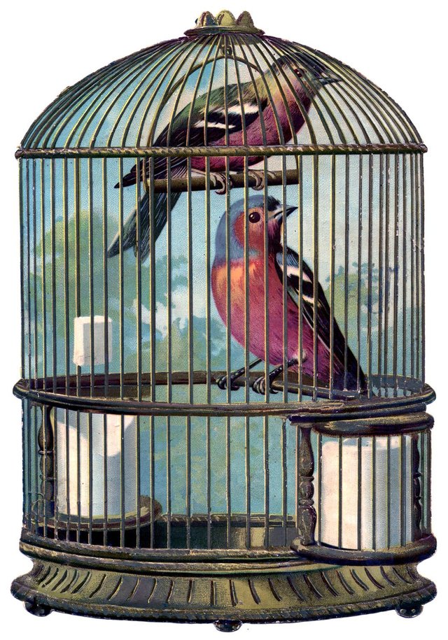 bird+cage+vintage+image+GraphicsFairy004sm.jpg