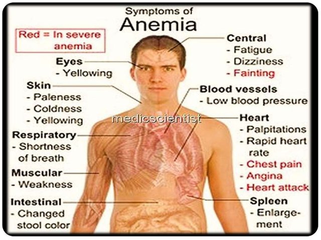  1anaemia-6-728.jpg