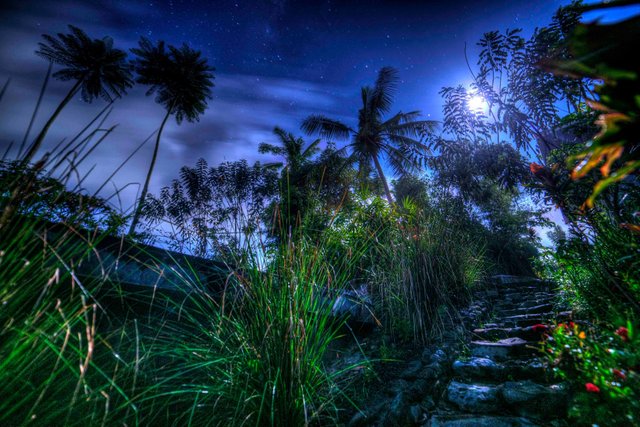 night eco pool steps.jpg