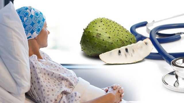 Can-Graviola-Fruit-Treat-Cancer-640x360.jpg