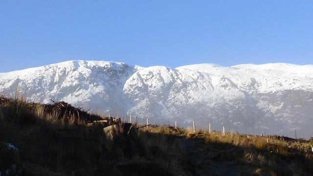 2 Looking up to Ben Ledi from path.jpg