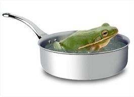 frog.jpg