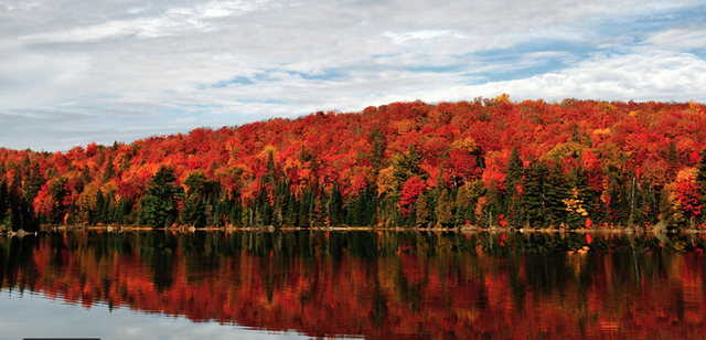 algonquin park.png