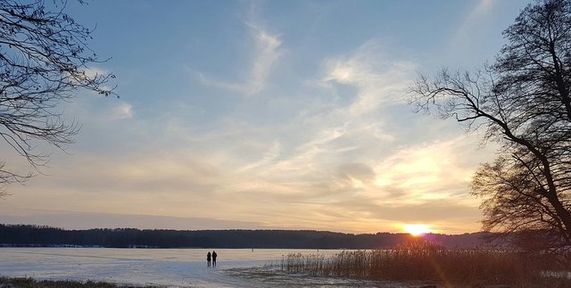 nature-3125490_960_720.jpg