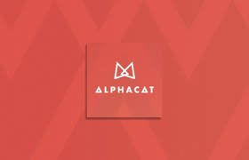 alphacat.jpg