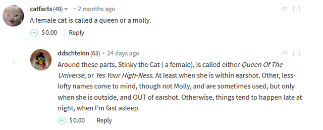 DONE 5 minute freewrite garage sales MOLLY the cat.PNG