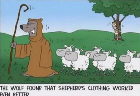 wolves-in-sheeps-clothing1.jpg