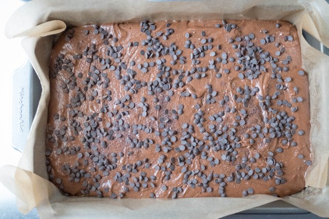 Nutella Brownies With Chocolate Chips Topping Steemit