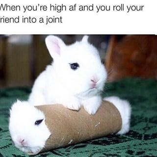 roll-friend-joint-weedmemes.jpg