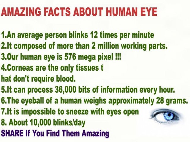 452e7a351152b6026fe047f3138ed5af--facts-about-eyes-eye-facts.jpg