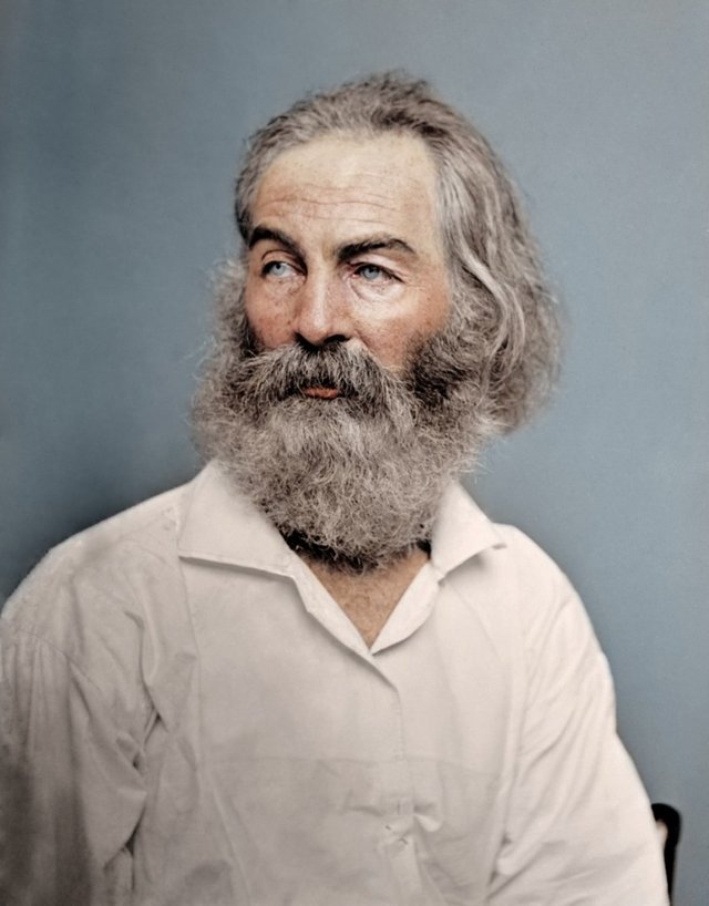 whitman-color.jpeg