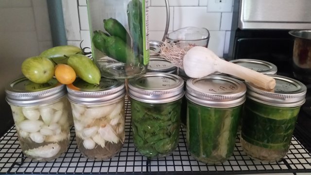 20170917_093014.jpg