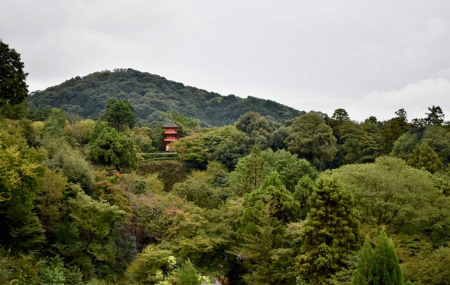 kiyomizu-dera-6.jpg