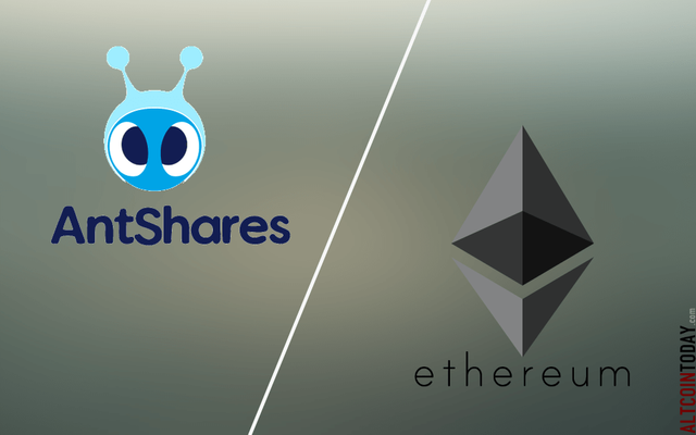 Antshares-vs-Ethereum.png