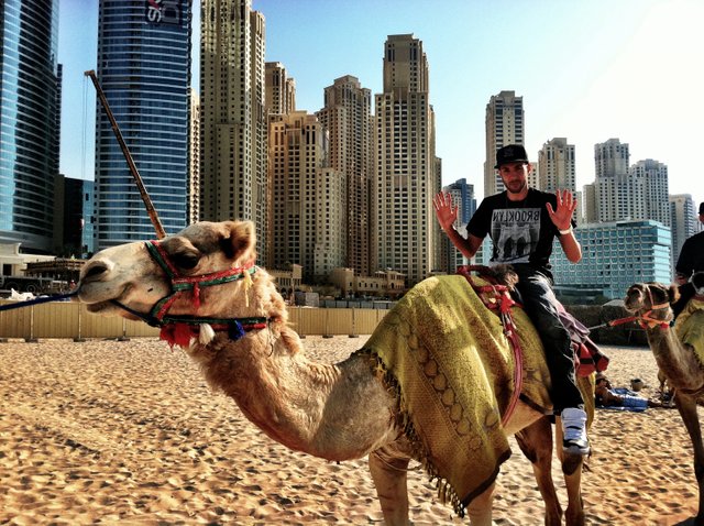 Riding-a-Camel-in-Dubai-Marina_5016.jpg