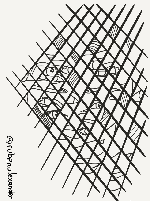 IMG_1716.PNG