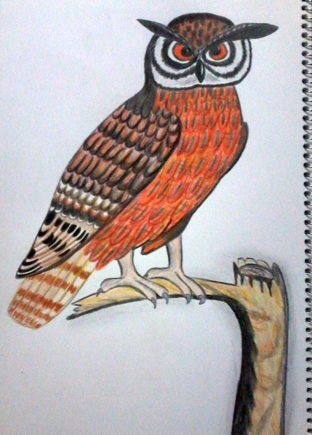 proceso4.jpg