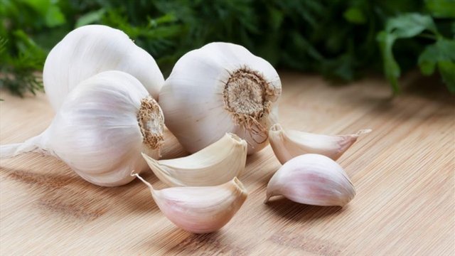 garlic.jpg