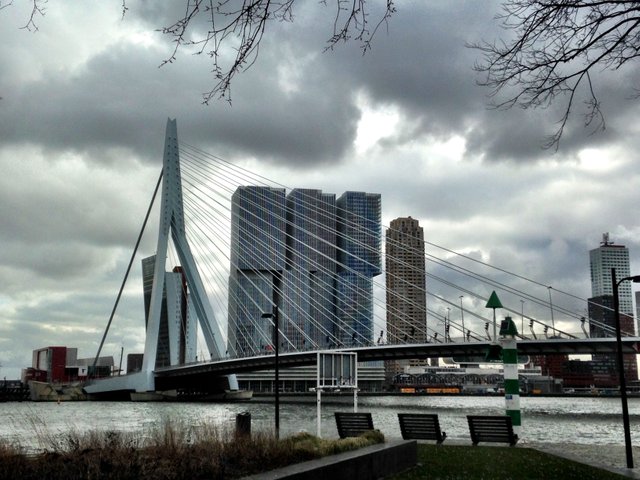 Rotterdam.jpg