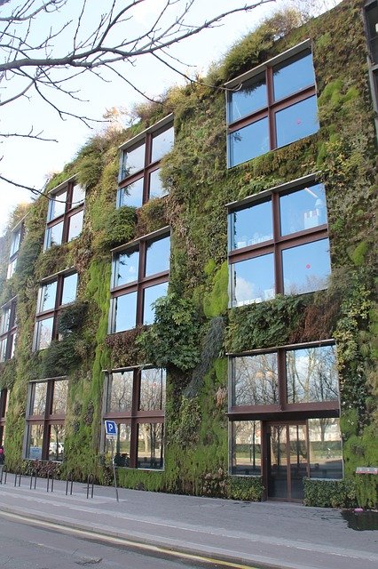 vertical garden.jpg