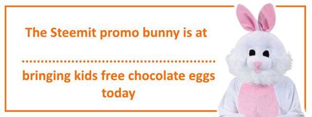 promobunny.jpg