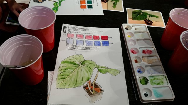 20180414_140317.jpg