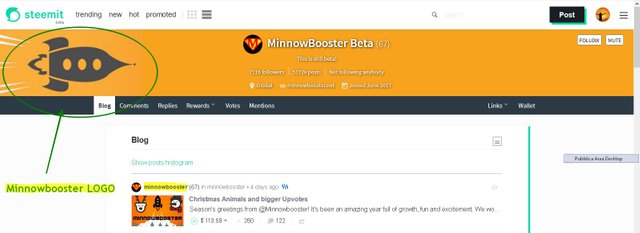 minnowbooster scam 2.jpg