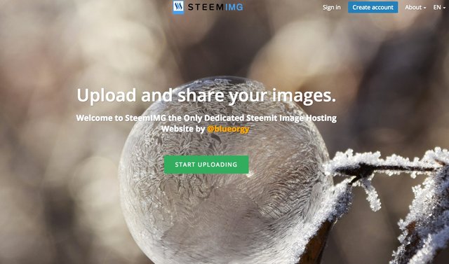 SteemIMG_com_-_Dedicated_Steem_Image_Hosting_🔊.jpg